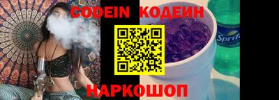 индика Гатчина
