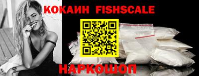 индика Гатчина