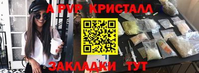 индика Гатчина