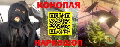 индика Гатчина
