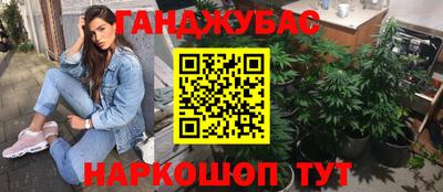 гашик Гагарин