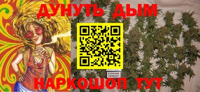 индика Гатчина