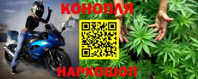 гашик Гагарин
