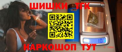 индика Гатчина