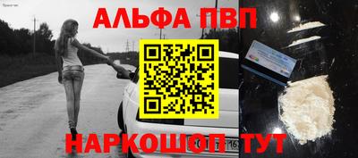 индика Гатчина