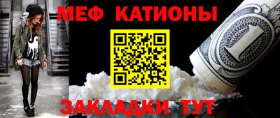 индика Гатчина