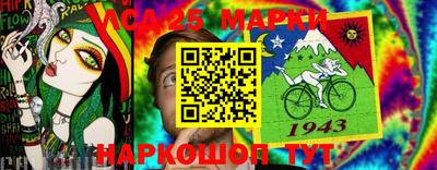 индика Гатчина